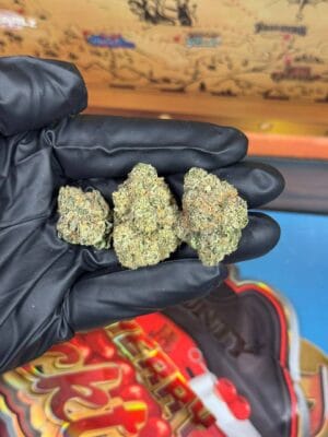 bounty farmz flower weed box