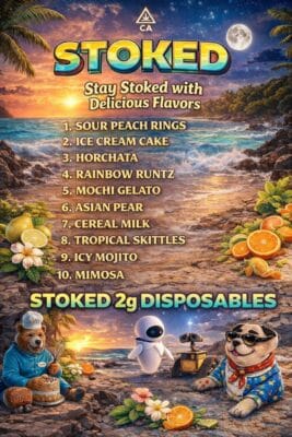stoked 2g disposable