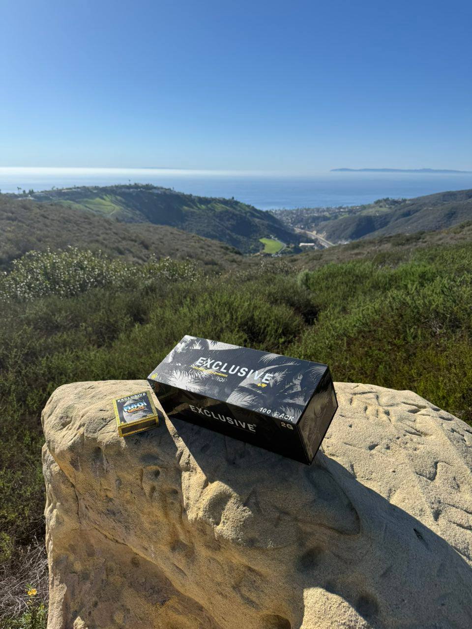 exclusive disposable